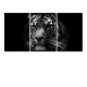 Multicanvas tigru 02 3p