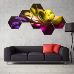 Set hexagonal Jocul Culorilor