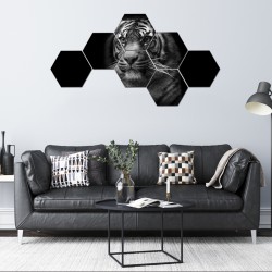 Set tablouri hexagonale tigru 02