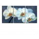 Multicanvas Orhidee Alba 02 3p