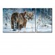 Multicanvas tigru iarna 3p
