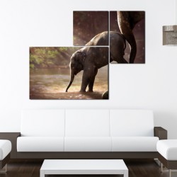 Multicanvas Elefanti