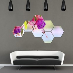 Set hexagonal Flori 02