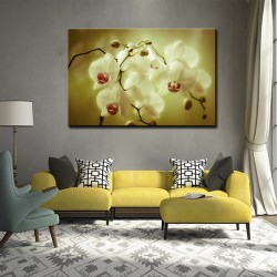 Tablou Canvas Orhidee 2