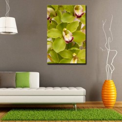 Tablou Orhidee Verde