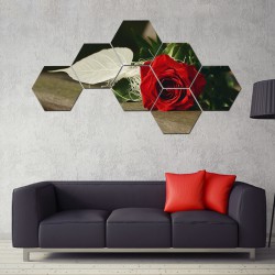 Set hexagonal Trandafir 03