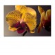 Tablou Orhidee Galbena