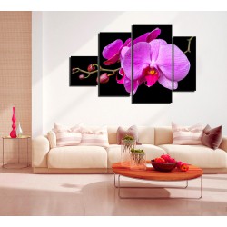 Multicanvas Orhidee Roz