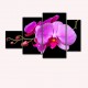 Multicanvas Orhidee Roz