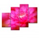 Multicanvas floare roz