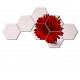 Set hexagonal Margareta rosie