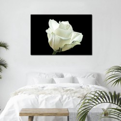 Tablou trandafir alb