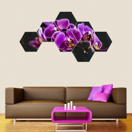 Set tablouri hexagonale Orhidee 03