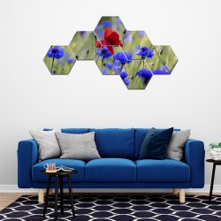 Set tablouri hexagonale Flori de camp